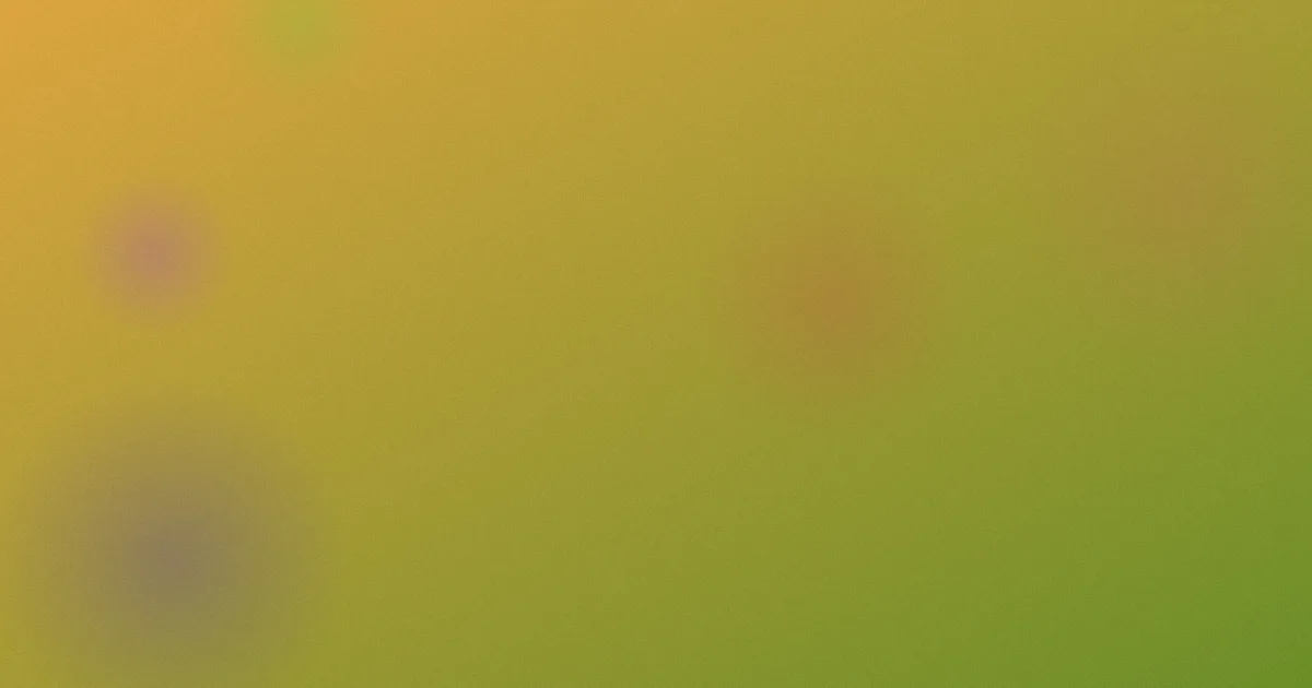 解密电影推荐：新手片单